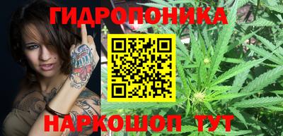 spice Бузулук