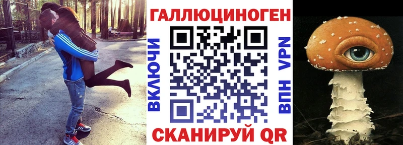 Псилоцибиновые грибы Psilocybe Джанкой