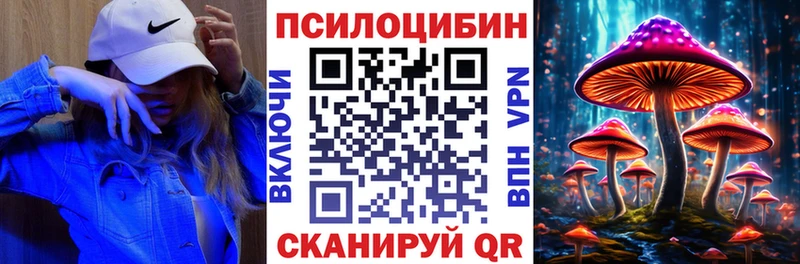 магазин    Джанкой  Галлюциногенные грибы Cubensis 