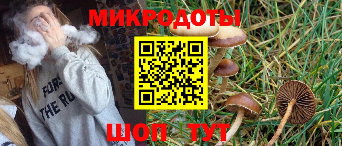 Галлюциногенные грибы Cubensis Джанкой