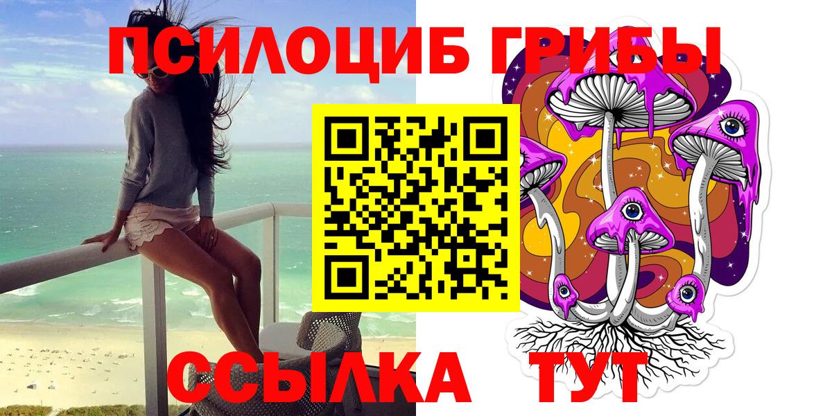 Галлюциногенные грибы Psilocybine cubensis Джанкой